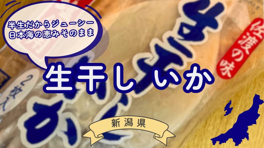 生干しいかサムネ