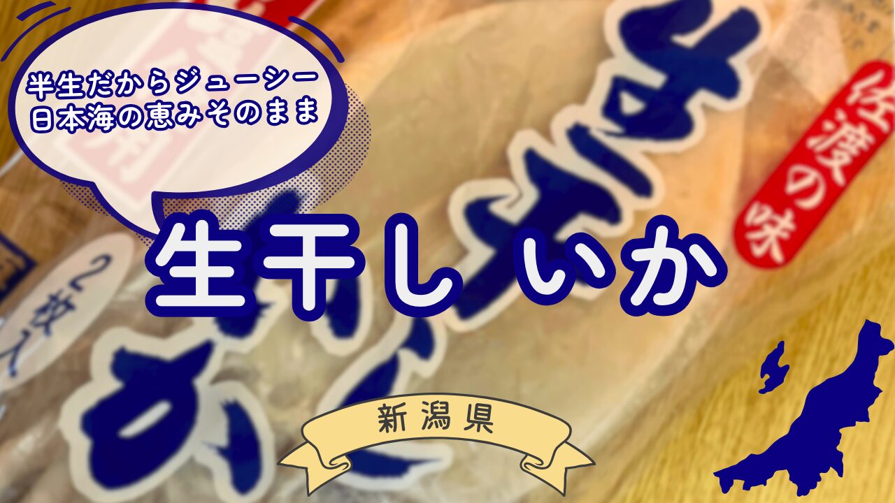 生干しいかサムネ