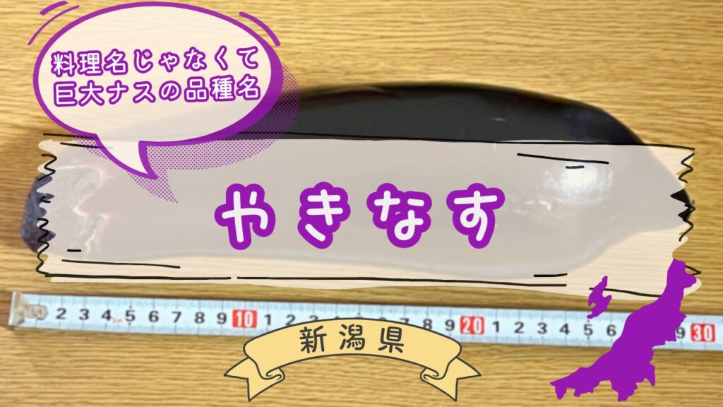 豊栄特産やきなすの実食レポート