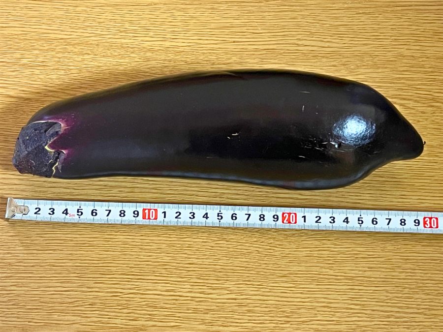 メジャーで測ったやきなすの大きさ、約30cm