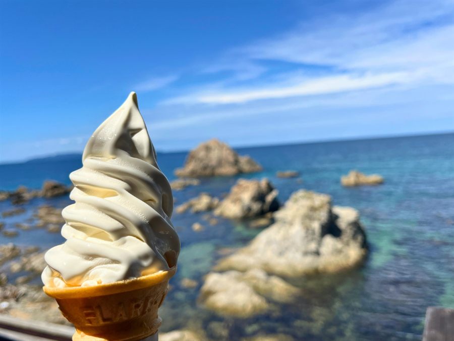 海を眺めながら食べた塩ソフトクリーム